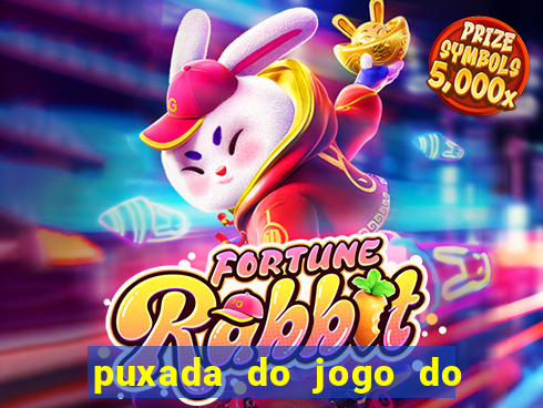 puxada do jogo do bicho da sueli